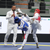젊음의 태권도 축제 성황리 종료…“화합·존중·평화의 가치 확인한 시간”