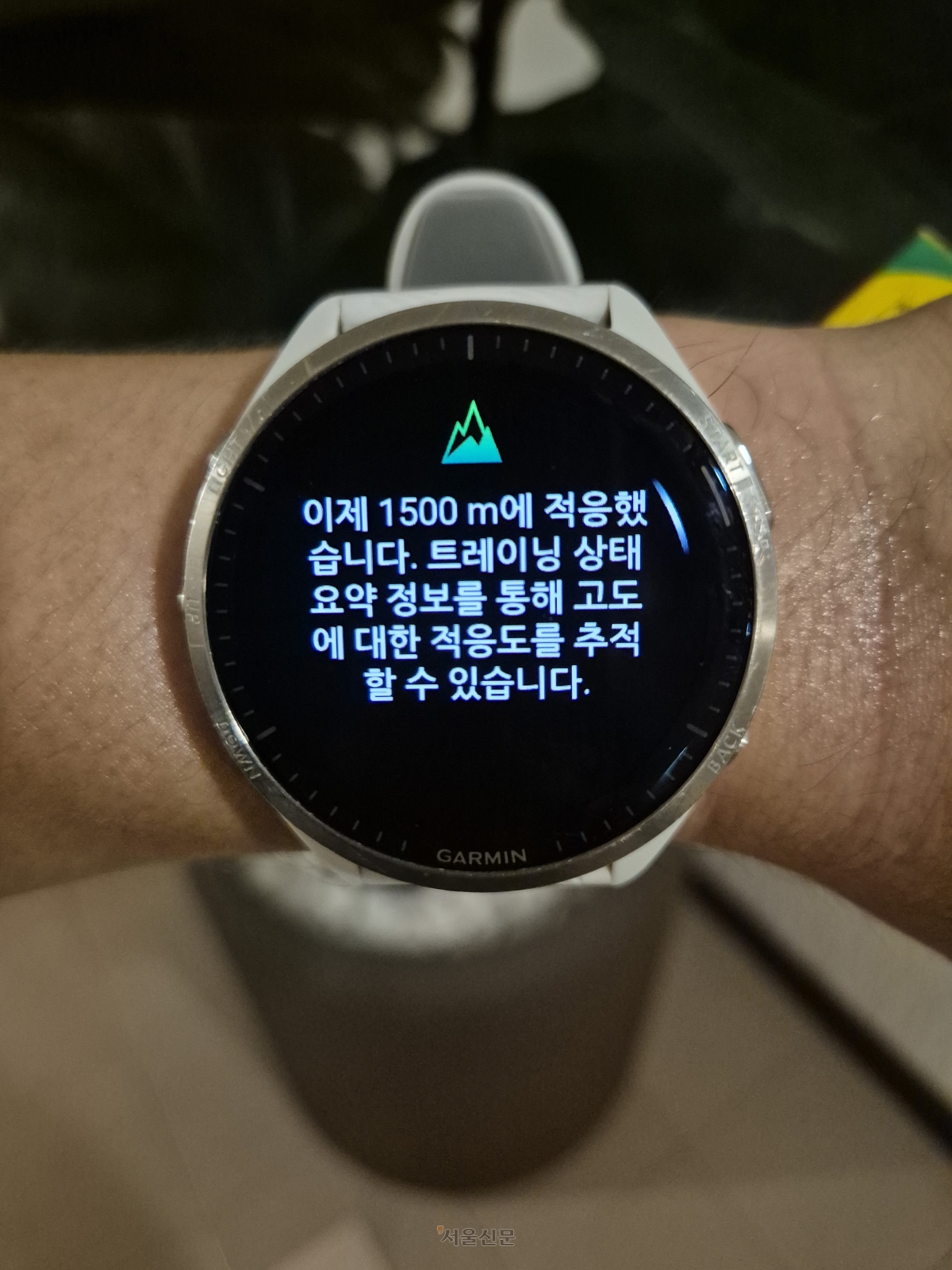 과달라하라 도착 열흘째였던 이날 처음으로 쉬지 않고 10㎞를 달렸고, 러닝 전문 시계에는 ‘해발 1500m 고지대 적응을 마쳤다’는 알림이 떴다.