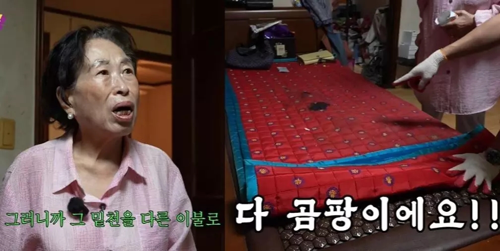 유튜브 ‘전원주인공’ 캡처