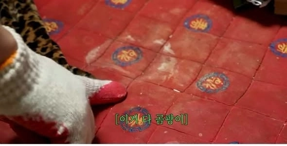 유튜브 ‘전원주인공’ 캡처
