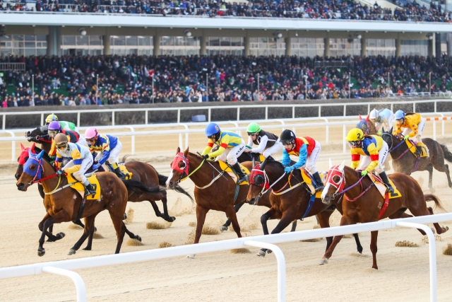 렛츠런파크 서울 경주 장면. 한국마사회 제공