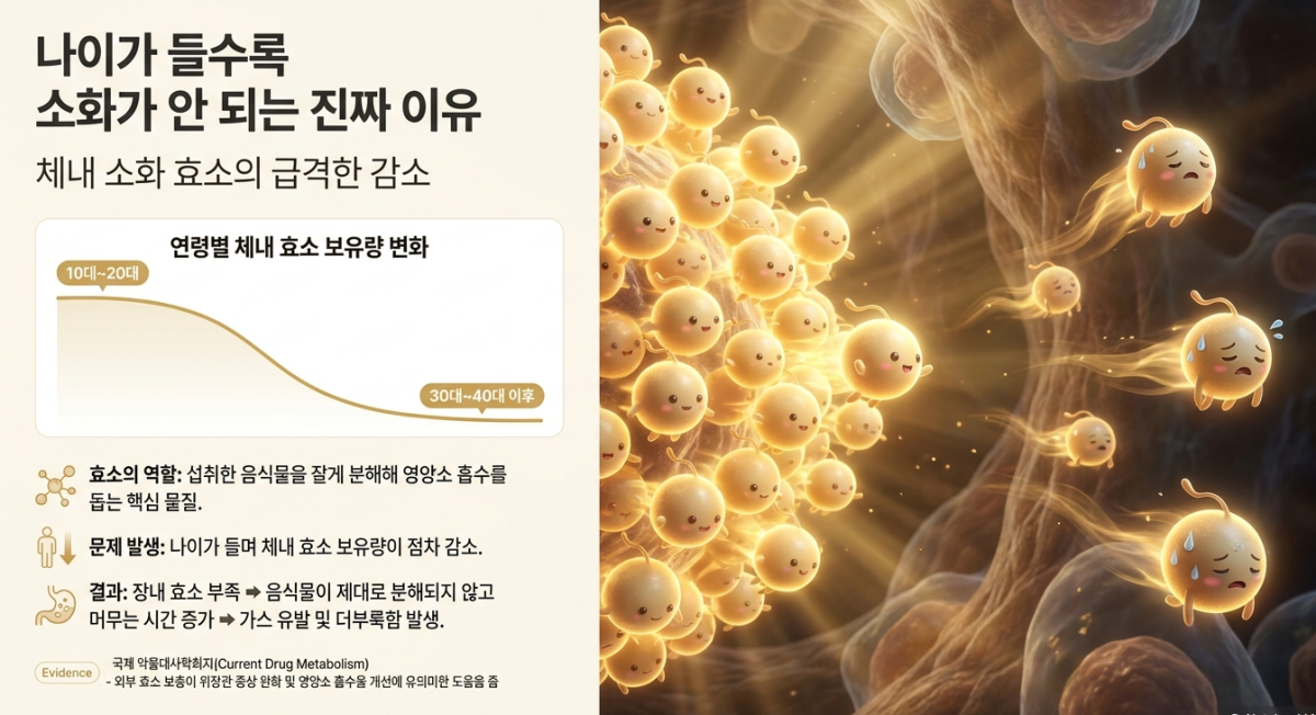 기사관련 AI 생성 슬라이드