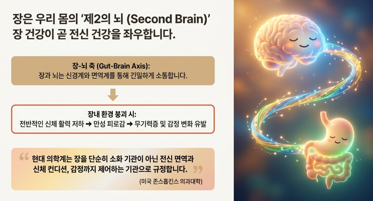 기사관련 AI 생성 슬라이드