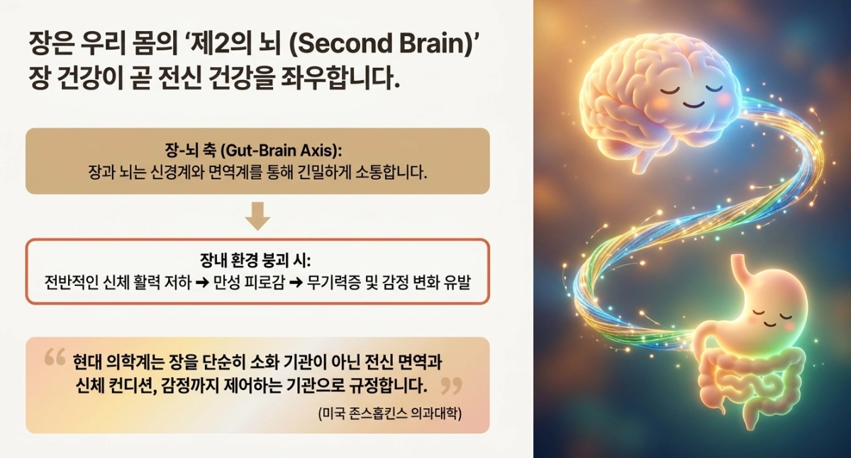 기사관련 AI 생성 슬라이드