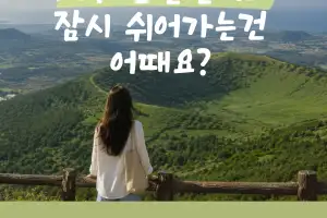 50팀 모집에 178팀 몰렸다… 제주 ‘ 한달 살이 안전 민박’ MZ세대에 흥행