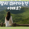 50팀 모집에 178팀 몰렸다… 제주 ‘ 한달 살이 안전 민박’ MZ세대에 흥행