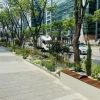 구로구, 회색 도로에 녹색 보행축 조성…‘정원도시 구로’ 조성 박차