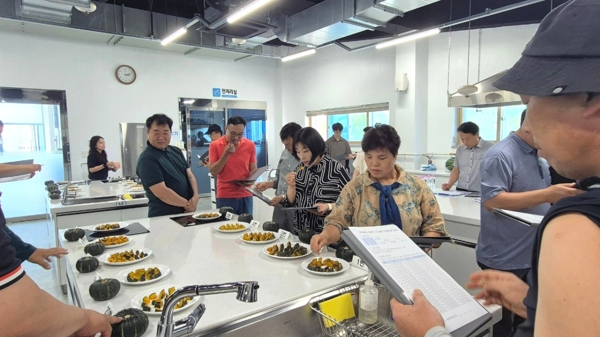 함평군이 지난 10일 농업기술센터에서 국내 육성 단호박 시식평가회를 하고 있다.