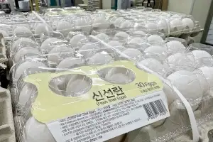 ‘달걀값 고공행진’…브라질산 국내 첫 도입, 13일 통관