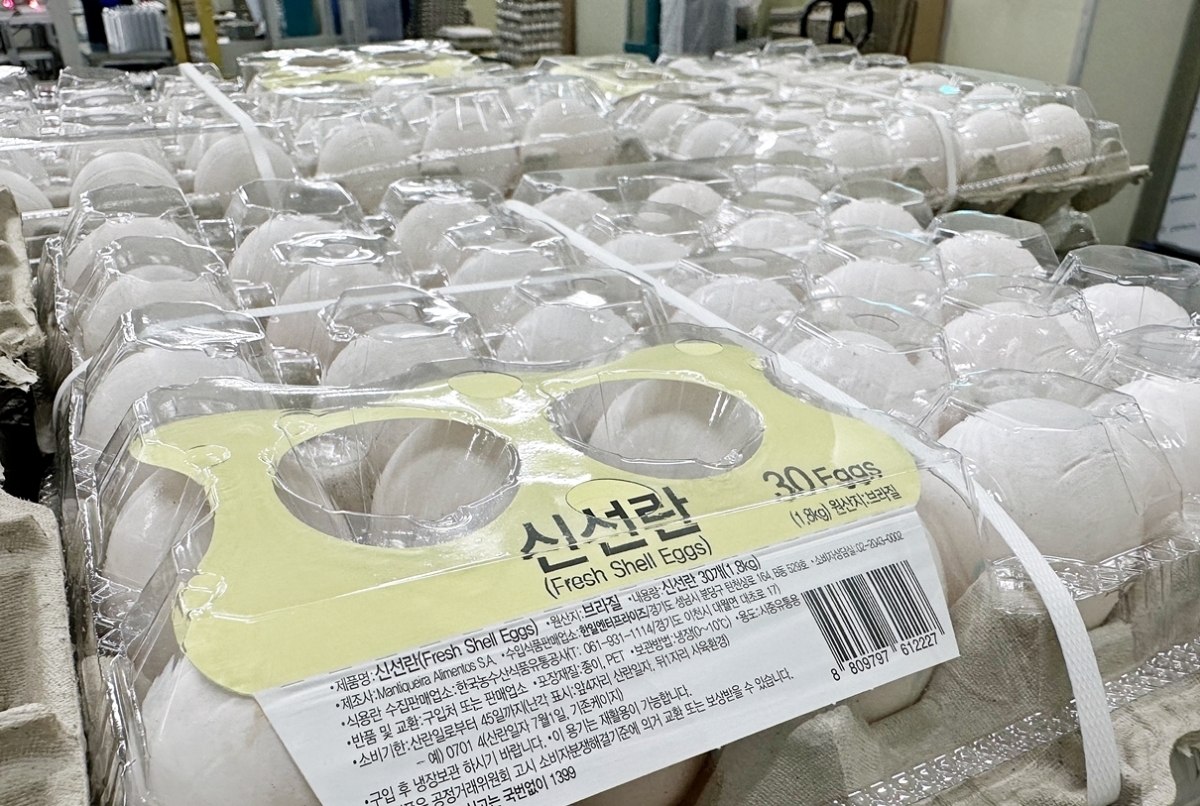국내 최초로 도입된 브라질산 신선란이 통관 절차를 기다리고 있다. 한국농수산식품유통공사(aT) 제공