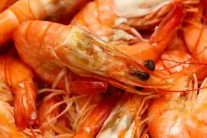 “○○ 좀 먹었을 뿐인데” 갑자기 ‘살 파먹는 세균’ 날벼락…17번 넘게 수술