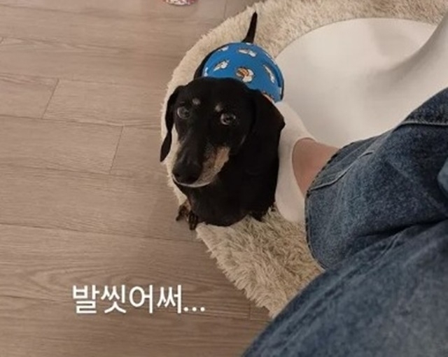 image - “발 씻었다” 김연아, 반려견 발로 ‘쓰담쓰담’ 영상에 갑론을박