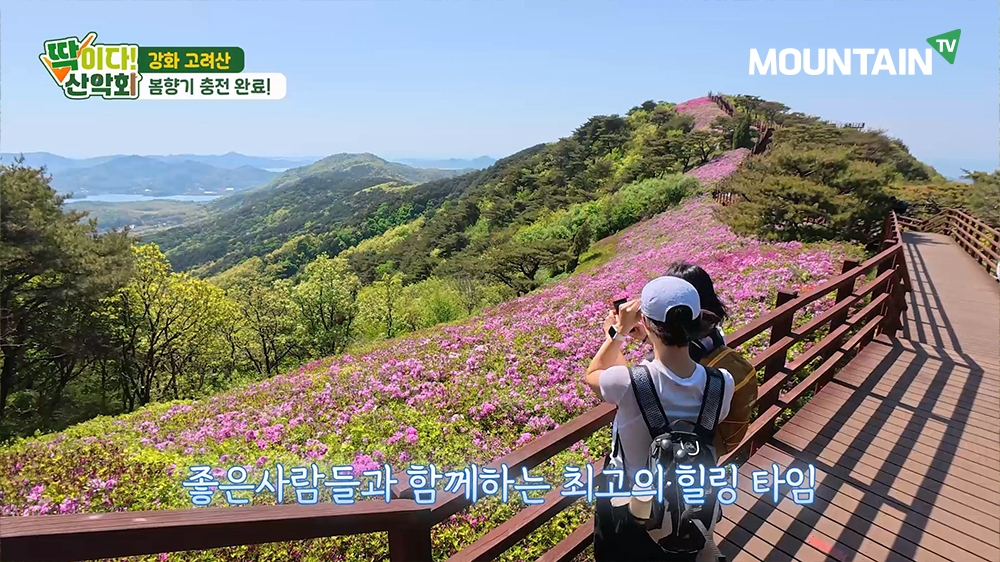 자연의 색채가 어우러진 강화 고려산 능선 전경. 마운틴TV 제공