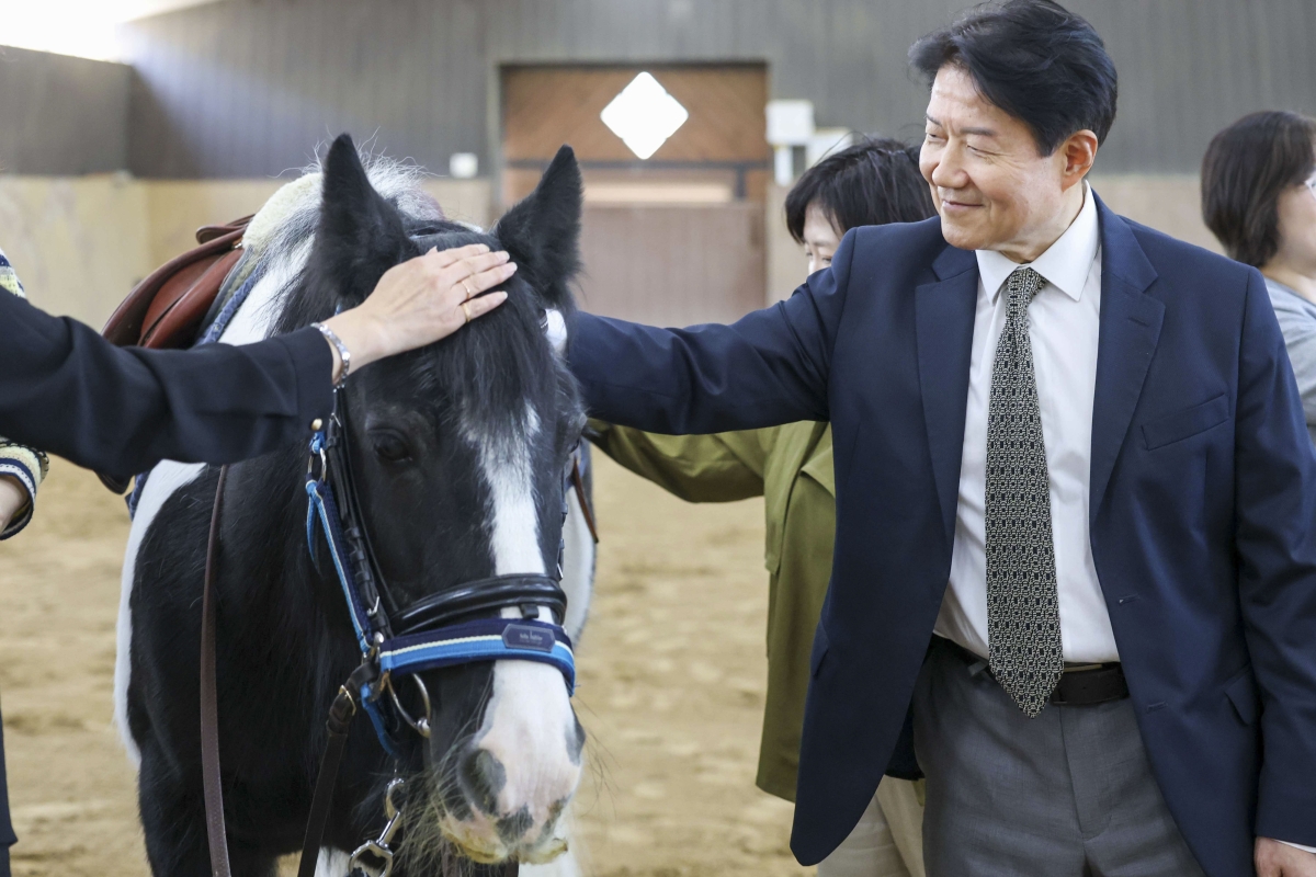 말을 쓰다듬고 있는 한국마사회 우희종 회장. 한국마사회 제공