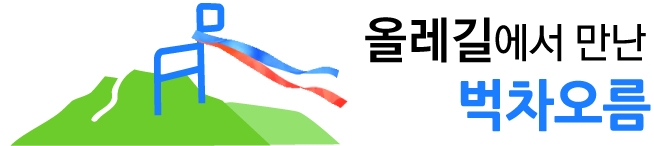 서울신문DB