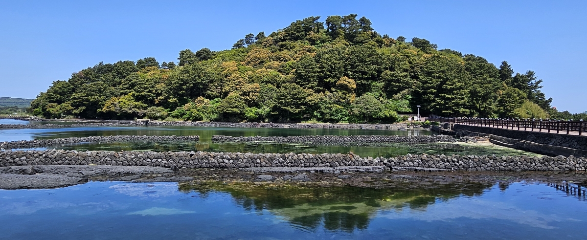 오조포구에서 바라본 식산봉(바오름).