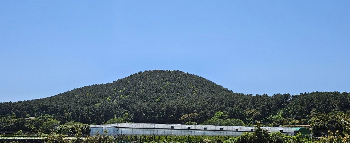 성산읍 고성리 마을을 지나면 만나게 되는 대수산봉.