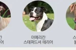 반려견도, 사람도 함께 걷는 서귀포시… “맹견은 관광지·공원 출입 금지해요”