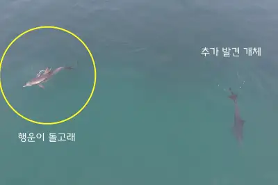 남방큰돌고래 ‘행운이’ 또래도 낚싯줄 걸려 함께 발견… 생존 위협하는 ‘바다의 덫’