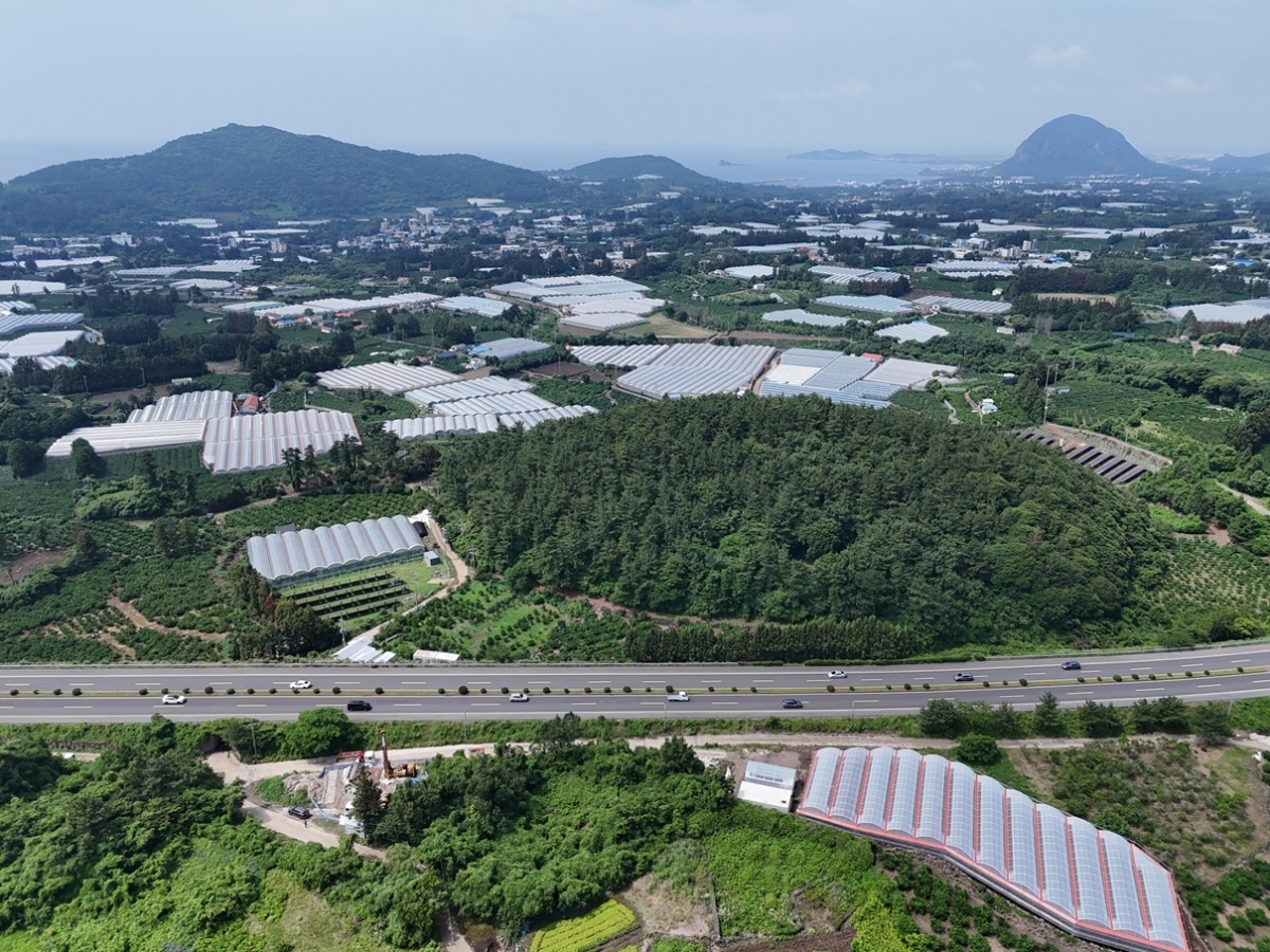더데오름과 인근 시추코어 전경, 멀리 산방산과 군산이 보인다. 제주도세계유산본부 제공