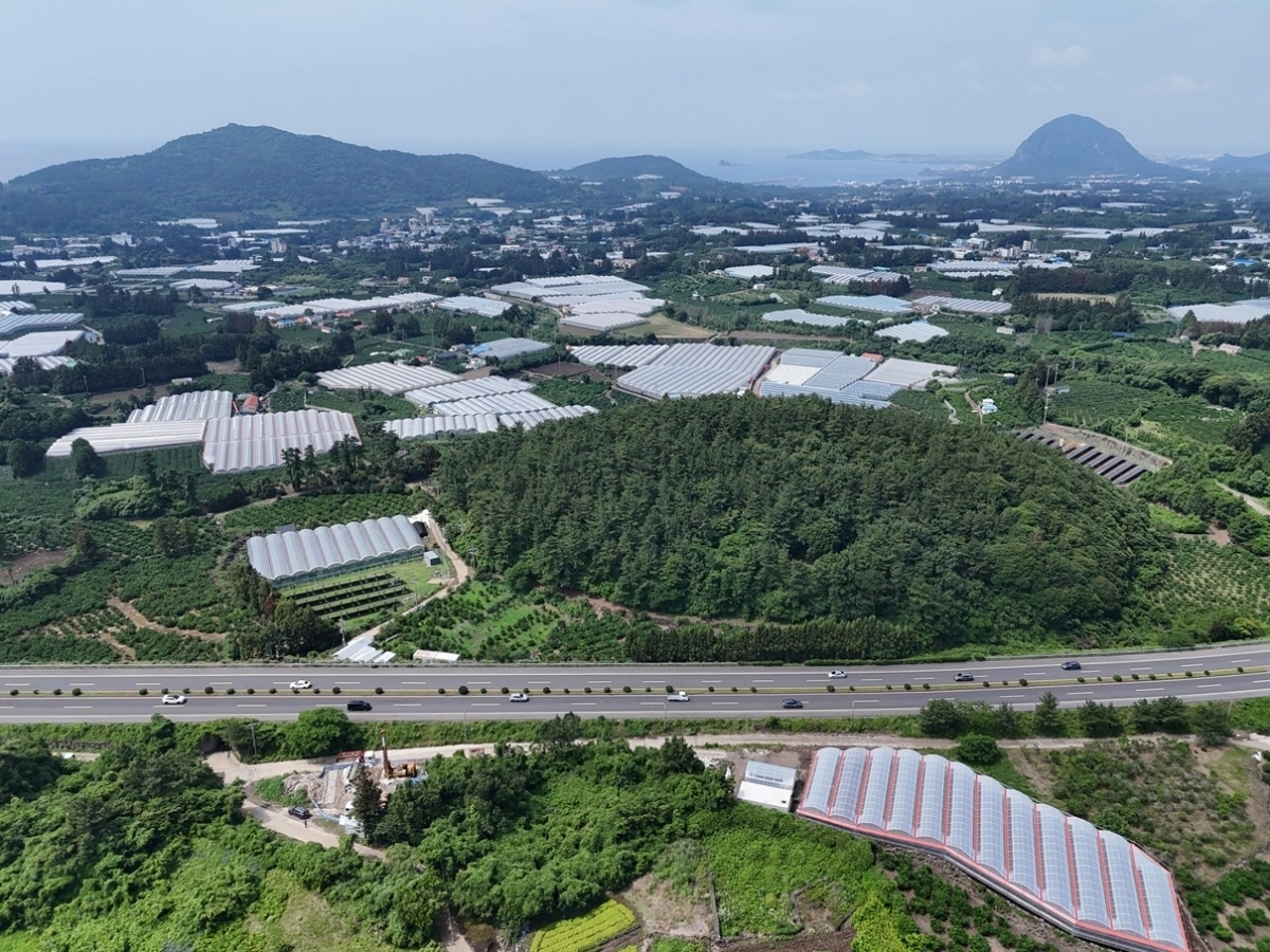 더데오름과 인근 시추코어 전경, 멀리 산방산과 군산이 보인다. 제주도세계유산본부 제공