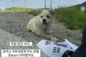 thumbnail - “저 좀 살려주세요” 국토대장정 20㎞ 따라가더니…카페 앞 얌전히 기다렸다 [포착]