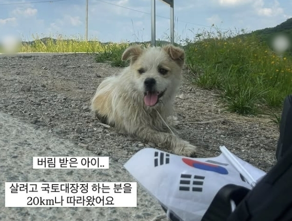“저 좀 살려주세요” 국토대장정 20㎞ 따라가더니…카페 앞 얌전히 기다렸다 [포착]