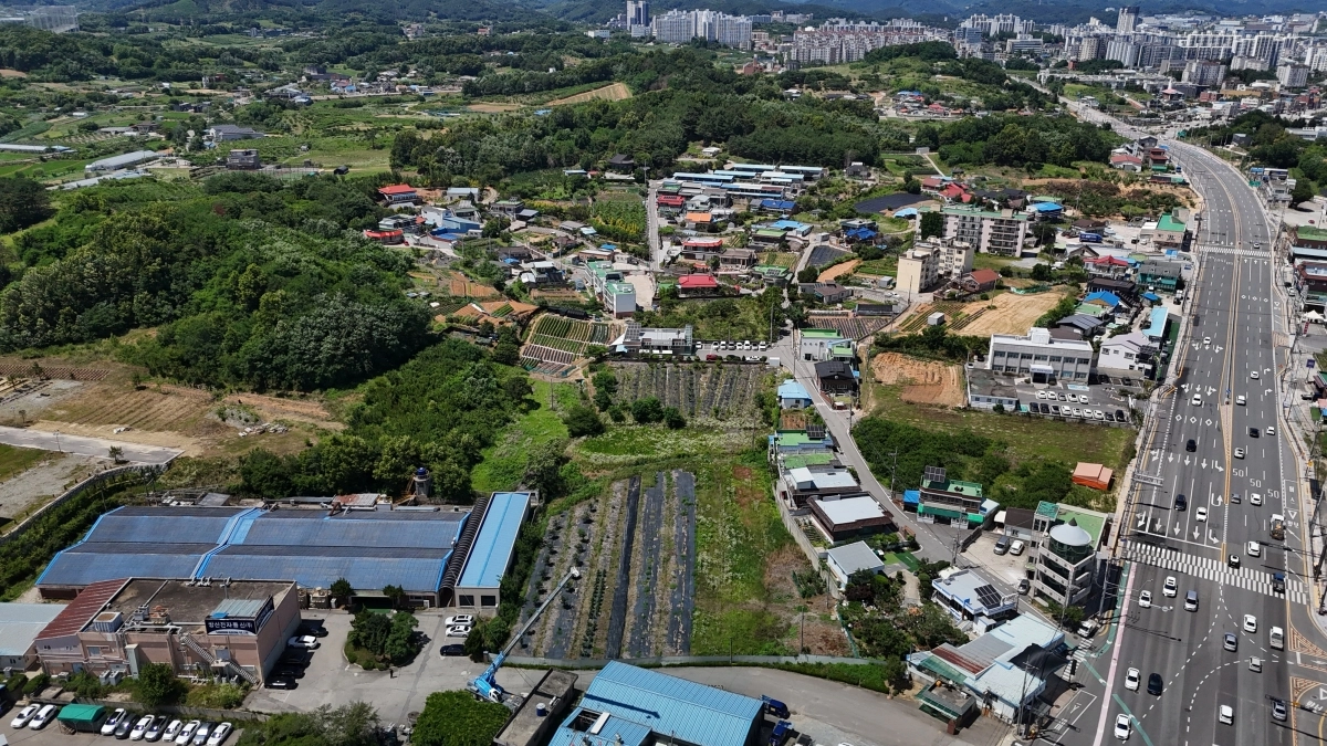 세종시 월하 3리 일원 항공사진. 시 제공
