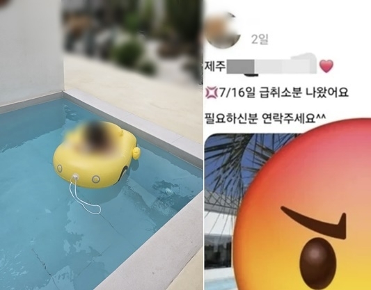 제주도의 한 독채 펜션에 휴가를 갔던 가족이 숙소 주변에 살포된 살충제로 인해 응급실로 이송되는 사건이 발생한 가운데 숙소 측 대응이 더욱 논란이 되고 있다. 스레드 캡처