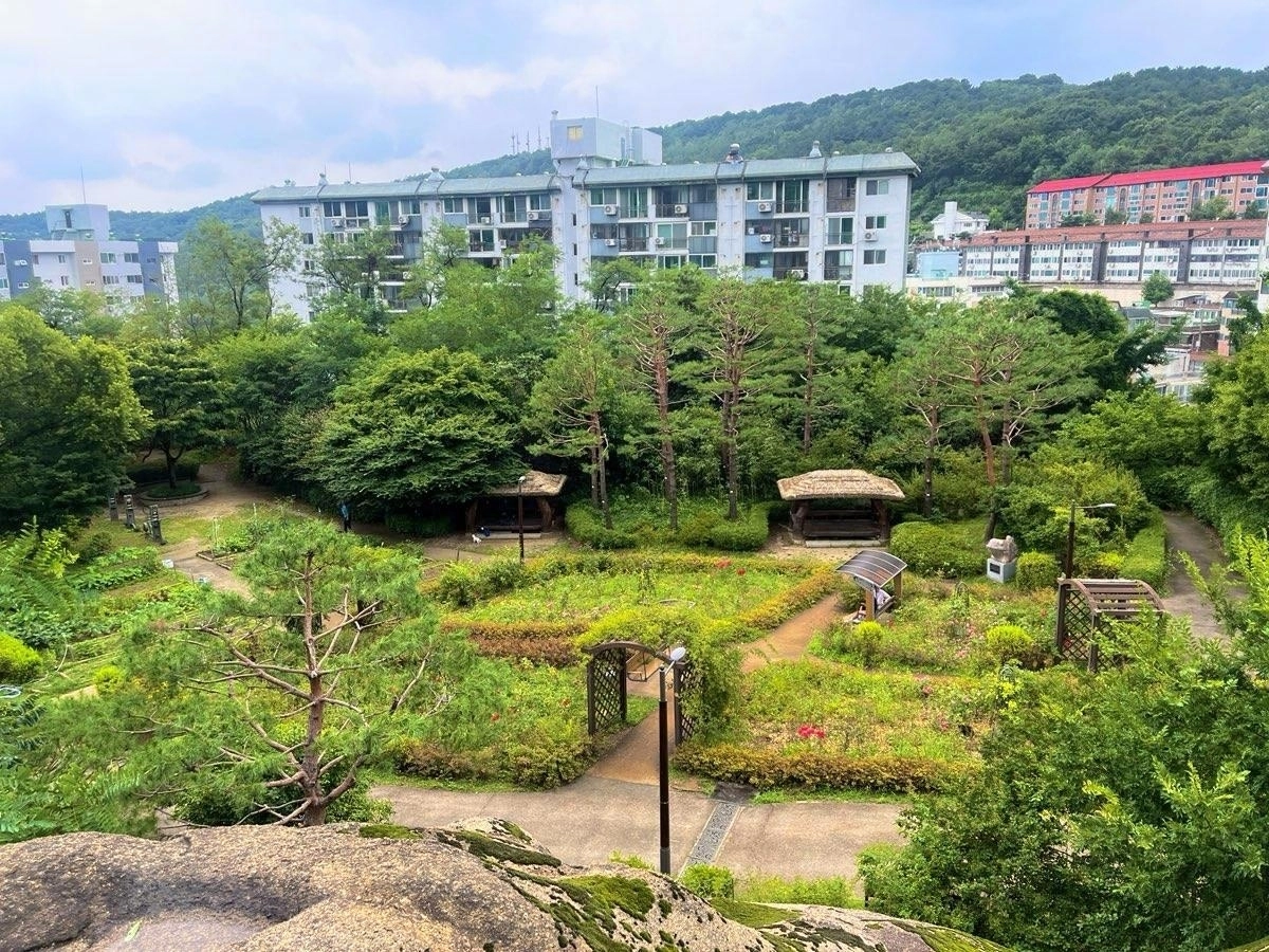 서울 서대문구가 6개월간 전면 정비한 백련근린공원 논골의 모습. 서대문구 제공