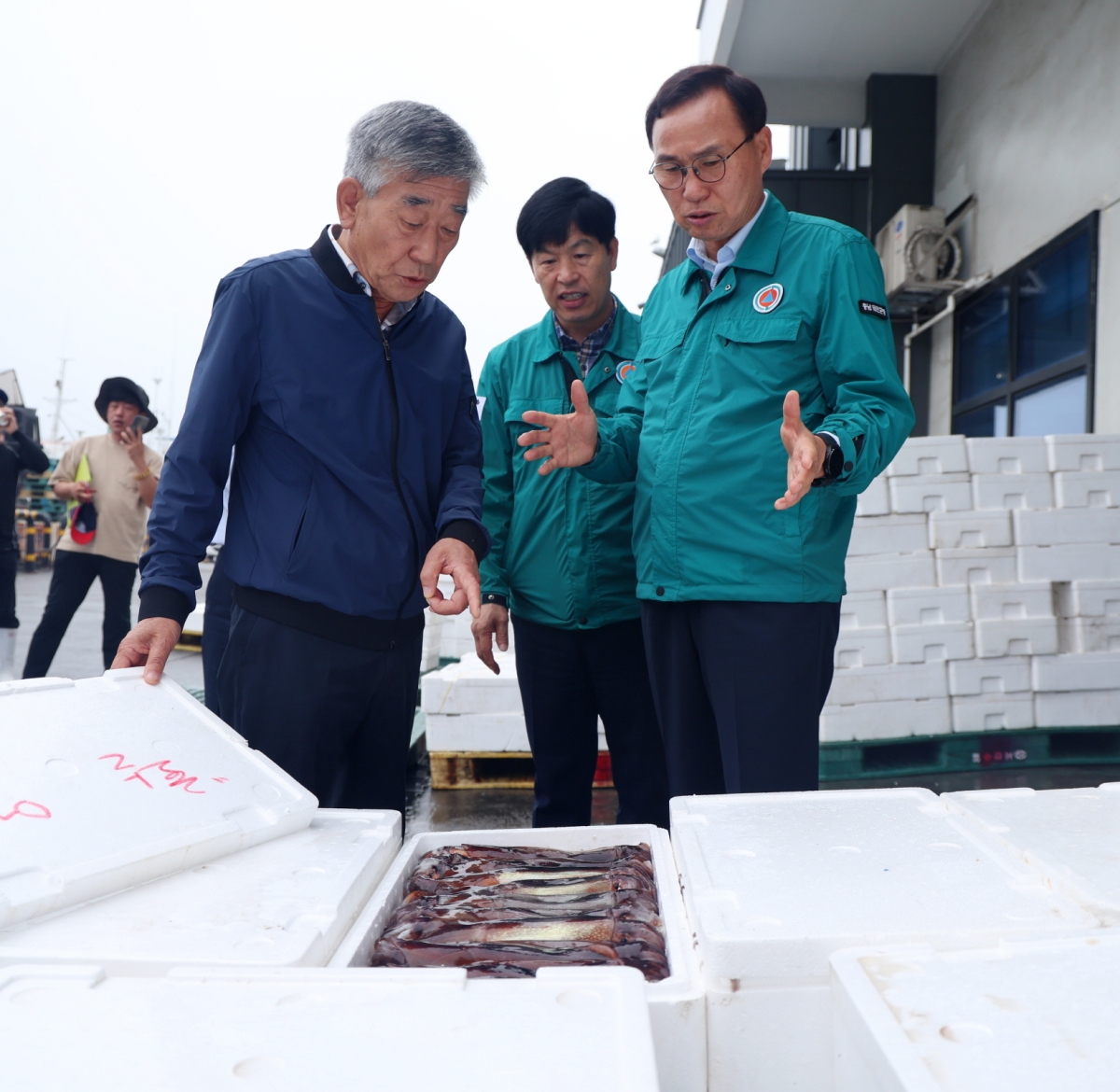 윤희신 태안군수가 오징어 경매가 한창인 서산수협 안흥위판장을 찾아 경매상황 등을 점검하고 있다. 태안군 제공