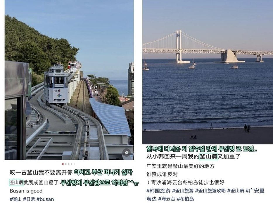 부산을 다녀온 외국인 관광객들이 “부산병에 걸렸다”며 여행 후유증을 호소하는 게시물을 잇달아 올리면서 ‘부산병’이라는 신조어가 아시아권 소셜미디어(SNS)를 중심으로 확산하고 있다. 인스타그램 캡처