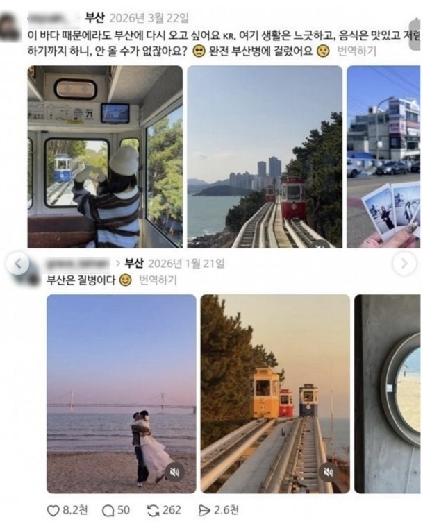 부산을 다녀온 외국인 관광객들이 “부산병에 걸렸다”며 여행 후유증을 호소하는 게시물을 잇달아 올리면서 ‘부산병’이라는 신조어가 아시아권 소셜미디어(SNS)를 중심으로 확산하고 있다. SNS 캡처