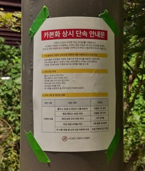 국내에서는 전문 선수들을 위해 제작된 카본화가 보편화하면서 실력에 맞지 않는 카본화 사용을 꼬집는 ‘카본화 단속반’이라는 온라인 놀이문화가 퍼지기도 했다. 온라인 커뮤니티 캡처