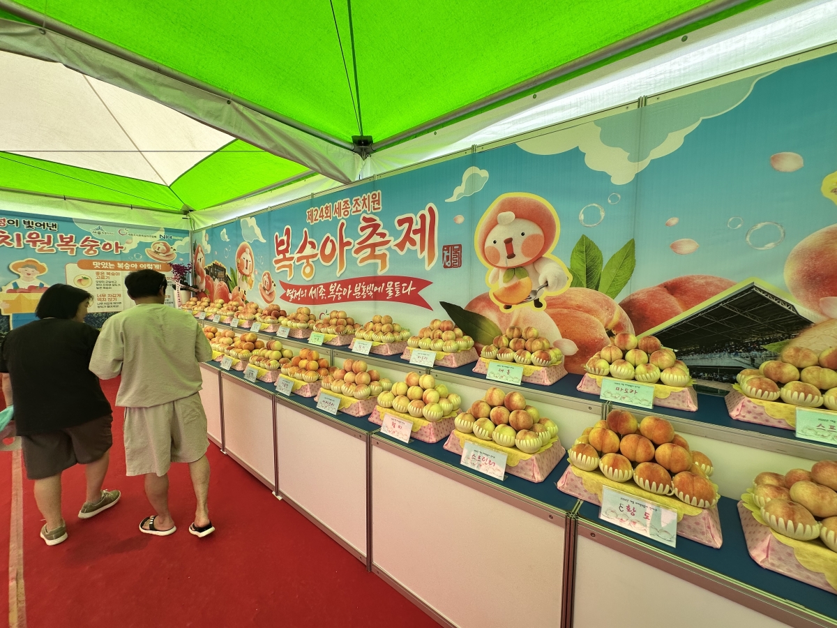 조치원복숭아축제 현장. 세종시 제공