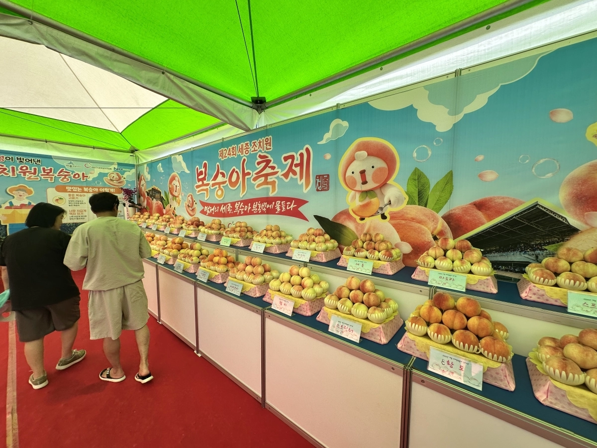 조치원복숭아축제 현장. 세종시 제공
