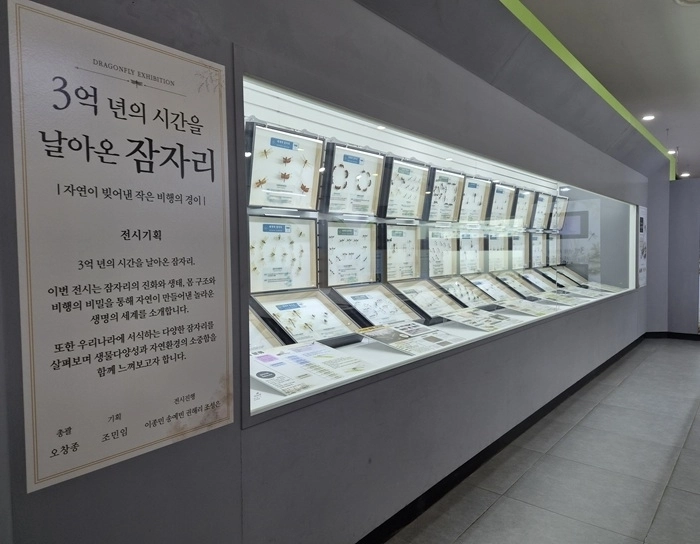 불암산 나비정원 여름방학 특별전 중 세계의 잠자리 전시. 노원구 제공