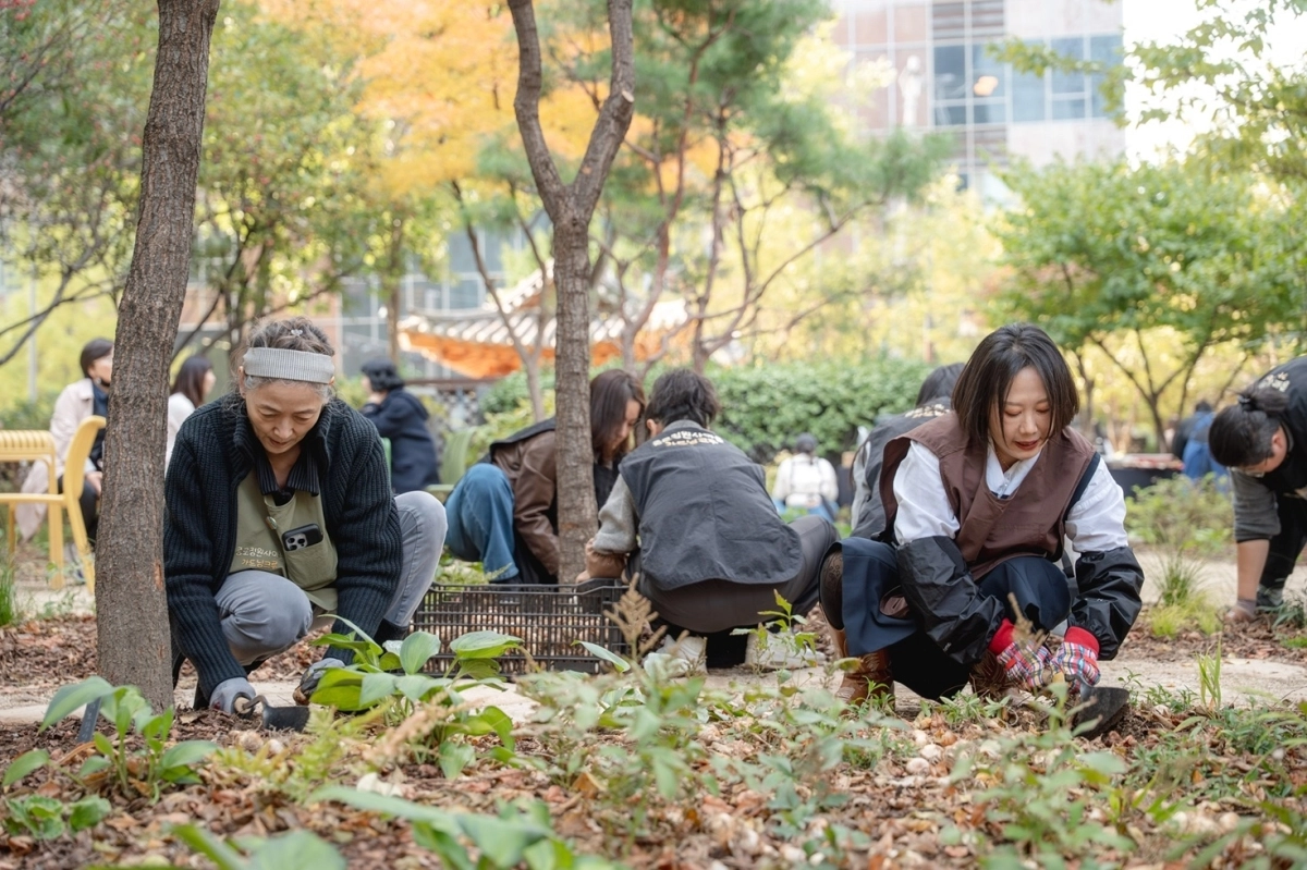 청진공원 가꾸는 종로 정원사