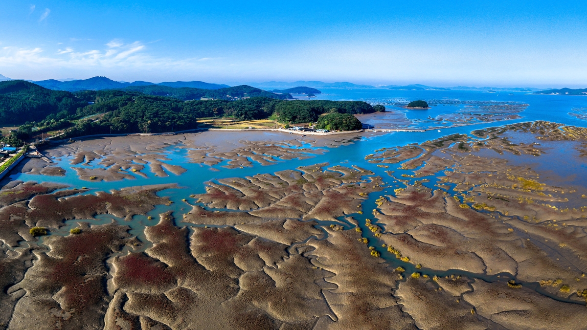 세계유산 확대 등재된 충남 가로림만 서산갯벌 전경. 서산시 제공