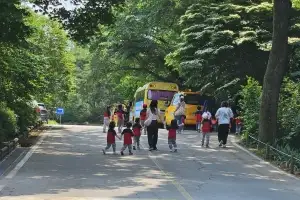 천연 에어컨 ‘도시숲’ 한낮 기온 1.8도 낮춰