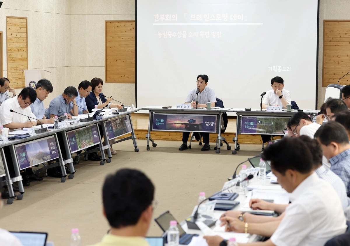 강진원 군수 주제로 열린 ‘브레인스토밍 데이’ 모습.