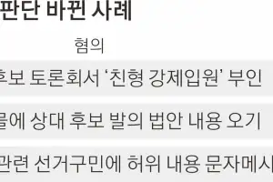 거짓말? 과장?… 재판부 따라 운명 바뀌는 ‘허위사실 공표죄’