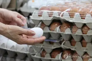 정부, 대한산란계협회 설립 허가 취소…“약속 어기고 시장 교란”