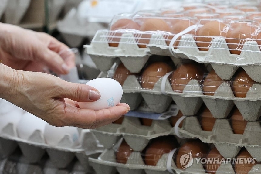 서울 시내의 한 대형마트에 진열된 계란. 연합뉴스