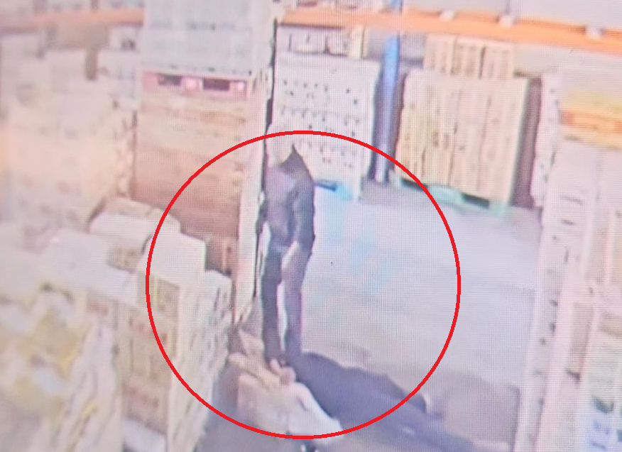 지게차서 추락한 직원. 온라인 커뮤니티 CCTV 영상 캡처