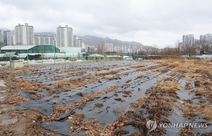 수도권 내 한 농지 너머로 아파트 단지 등 재개발 구역이 들어선 모습. 연합뉴스