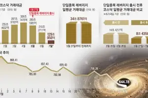 ‘922조 증발’ 폭락장엔 정부 없었다
