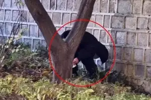 “저 사람 길에서 대변 본다” “중국인이네” 정말일까…중국 ‘화장실 문화’ 살펴보니[월드픽]