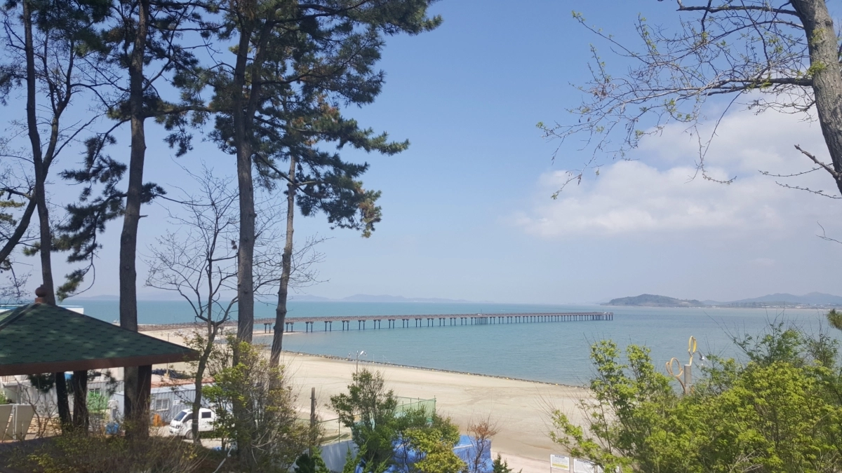 워케이션-함평 돌머리캠핑장 실내에서 본 전경