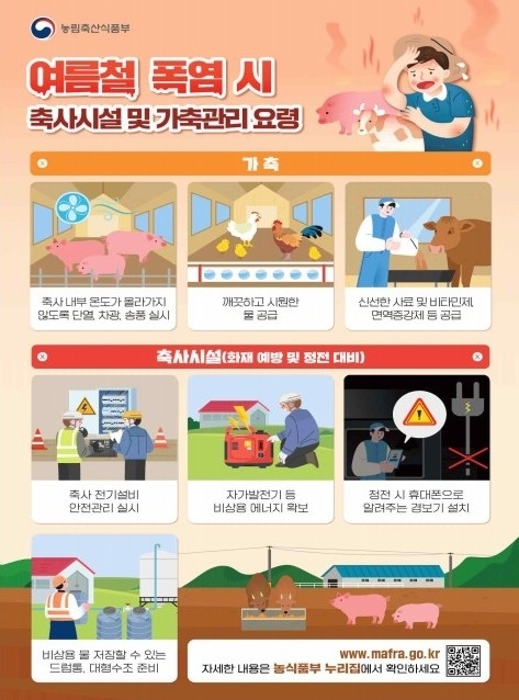 여름철 폭염시 축사시설 가축관리 요령. 제주시 제공